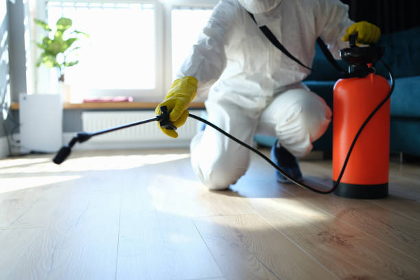 Reliable Biohazard Cleanup contractor in Hudson, FL by Trauma Clean Pros